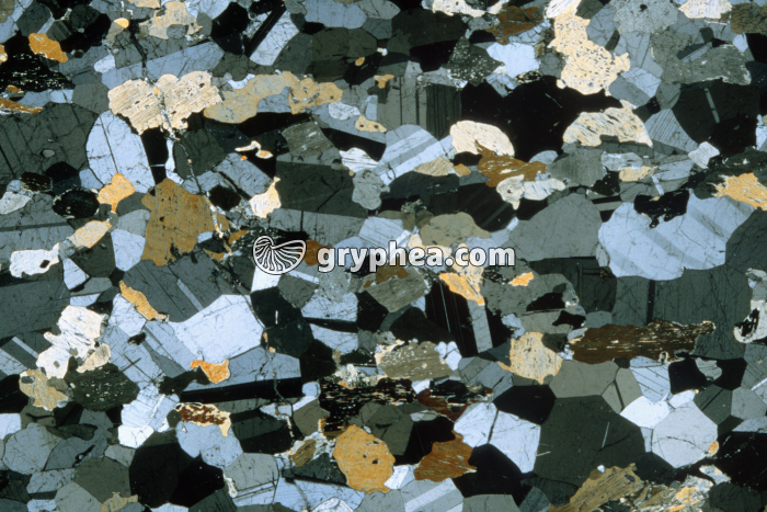 Gabbro rubané LPA x3,5 - gryphea.com